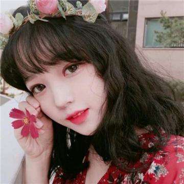 子弹先生无限钻石版