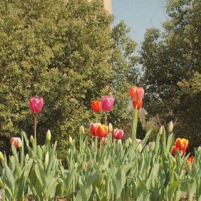 顶级官网在线登录