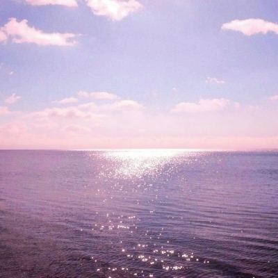 电竞投注app