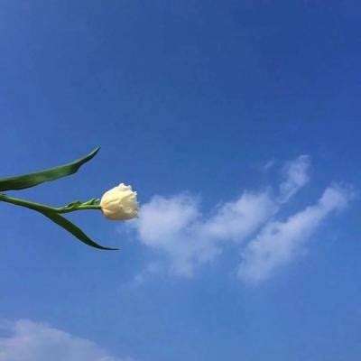 雷速体育娱乐APP/手机APP下载