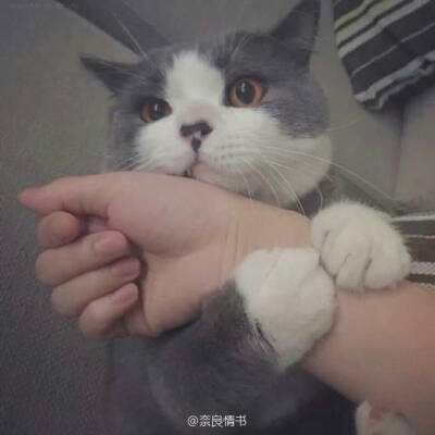 七雄Q传