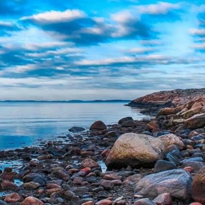 乐鱼电竞app官网登录入口