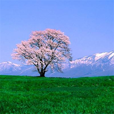 澳客体育娱乐APP/手机APP下载