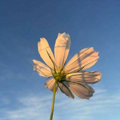 乐鱼体育电竞官网下载特色