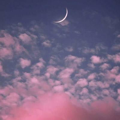 辉瑞报告莱姆病疫苗有效性达73%，试验结果使前景复杂化