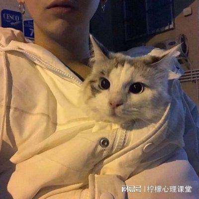 博鱼电竞中国