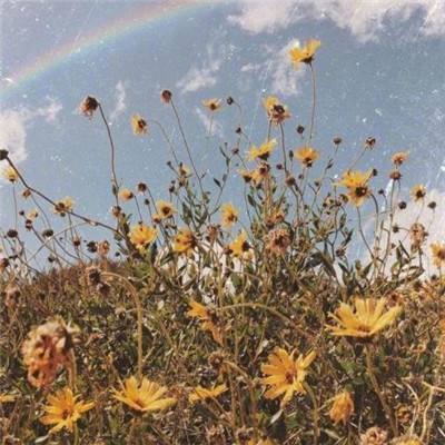 市监总局刊文“外卖大战该结束了”，美团、阿里直线拉升，这一年烧光800亿