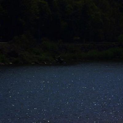 天弘上海金ETF发起联接C净值上涨3.83%