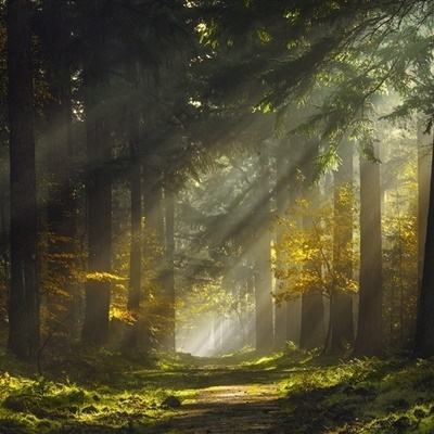 6163银河163am相关推荐1