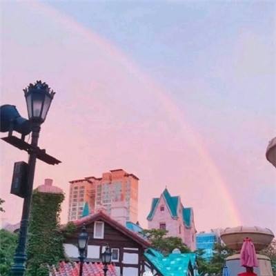 355cc彩票app下载手机版