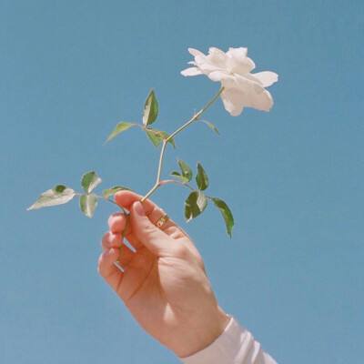 6t体育客户端相关推荐1