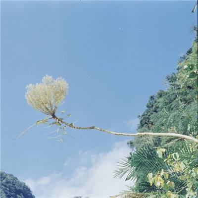 乐鱼体育下载苹果