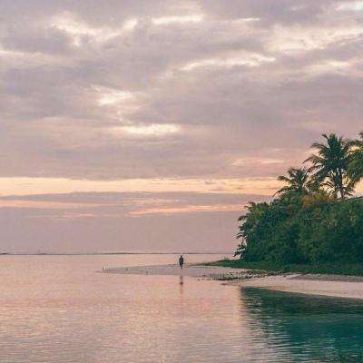 博鳌论坛热议AI智能体元年：爆发背后，风险与治理成新焦点