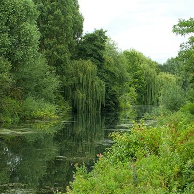 菲律宾28yy体育娱乐APP/手机APP下载