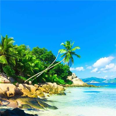 特朗普谈政府部分停摆：我们将视国会协调情况而定。