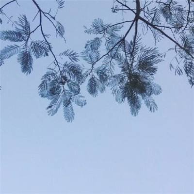 原版王牌战争