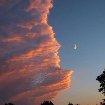 景顺长城智能生活混合A净值上涨4.61%