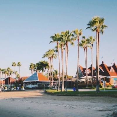 永利官网在线登录截图