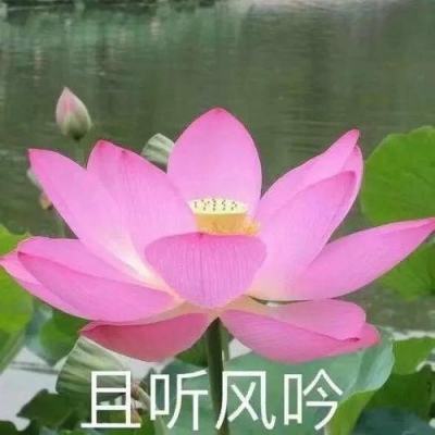 免费试玩pg游戏入口