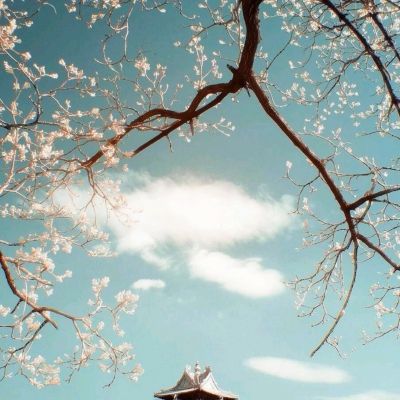 beat365在线体育官网截图