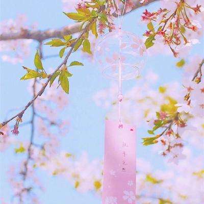 2026 CAIMRS | 本土品牌超过半壁...