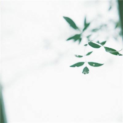 ku体育app娱乐手机版