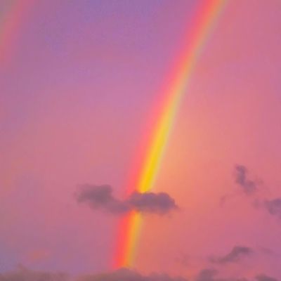 这些石油基金集体公告！今日停牌一小时