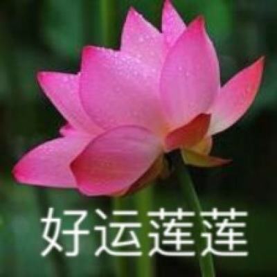 leyu乐鱼体育网址安装正版最新版v4.7.3.9截图3