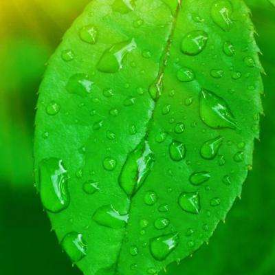 竞技宝登陆