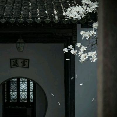 K0K体育娱乐下载app/手机app下载