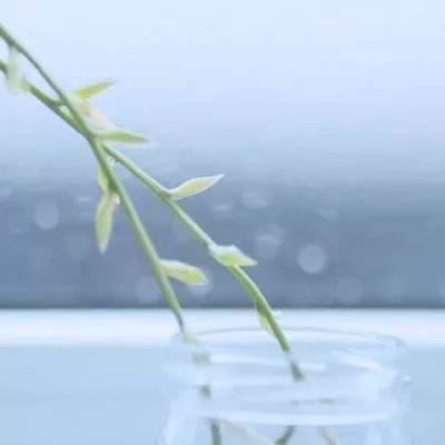 声称战略转型，OpenAI宣布放弃视频生成应用Sora