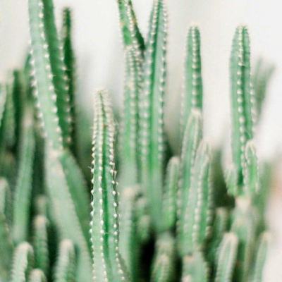 9770大发棋牌官网